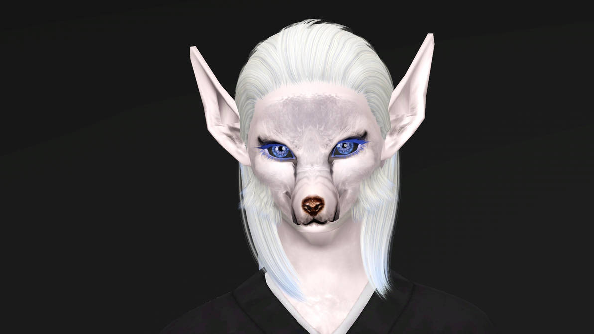 Spirit Fox From Rabbit Fox Spirit Closeup by Popcornstar45 on DeviantArt