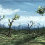 Over our acres