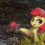 Smaller Water Apple Pony