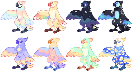 (CLOSED) Parrot Adopts