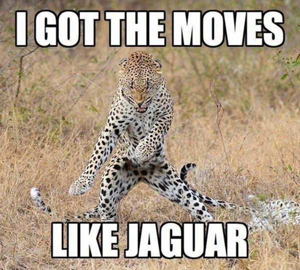Funny-animal-pictures-with-captions-010-006 by megaherofactory on DeviantArt Funny-animal-pictures-with-captions-010-006 by megaherofactory on DeviantArt