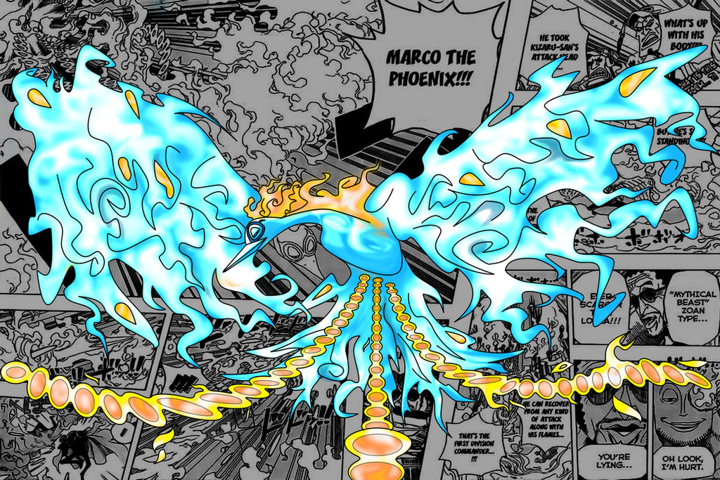marco phoenix 2 by akatsuki06fr on DeviantArt