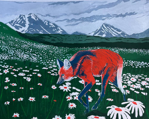 Maned Wolf in a field of flowers