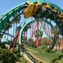 Kumba - Busch Gardens Tampa Florida USA