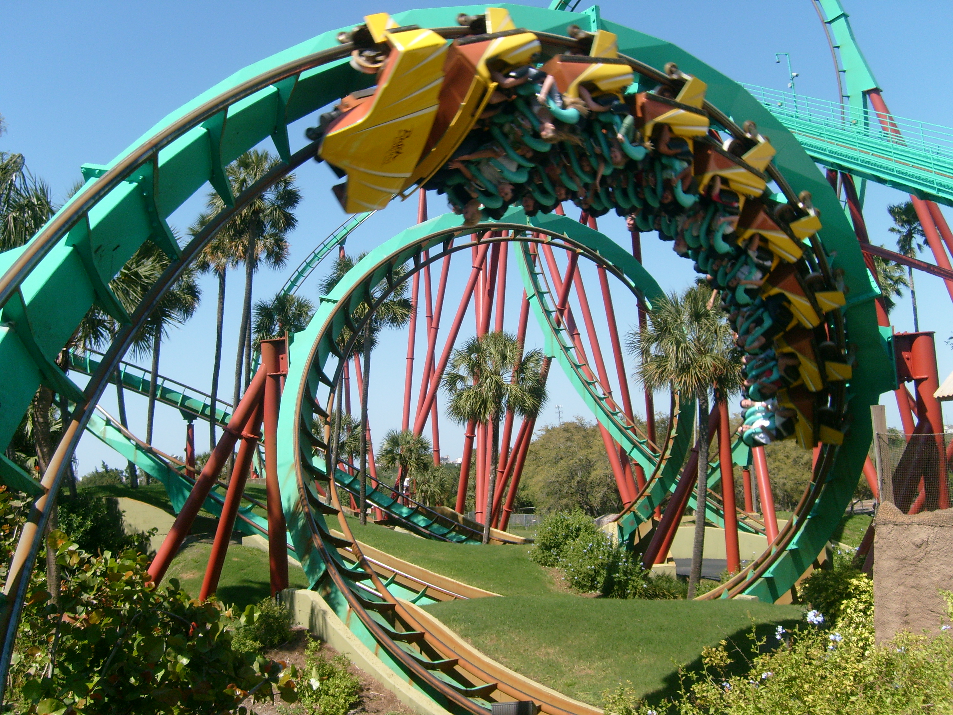 Kumba - Busch Gardens Tampa Florida USA