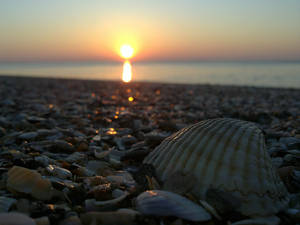 Sunrise at the beach