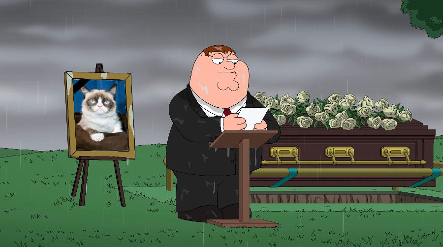 Grumpy Cat's Death - 4th Anniversary by FOZTALK-Fan-Chan on DeviantArt