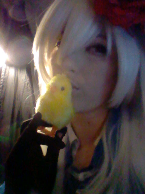 mah Gilbird brings all the watchers to the yard 8D