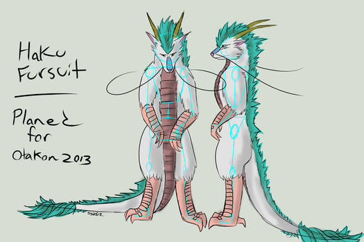 Haku Fursuit Plans