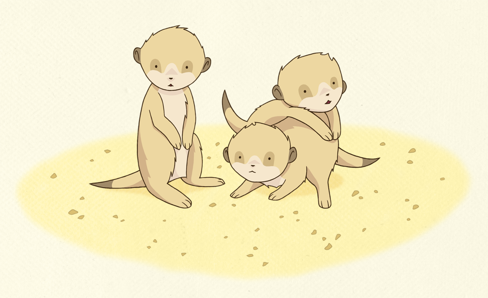 little meerkats