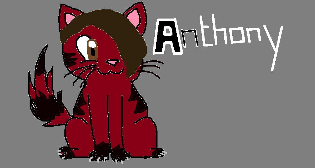 Anthony Ryle Cat Anthony Cat lol by trashboatt on DeviantArt