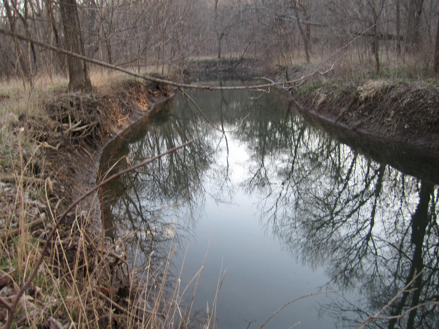 The Left River
