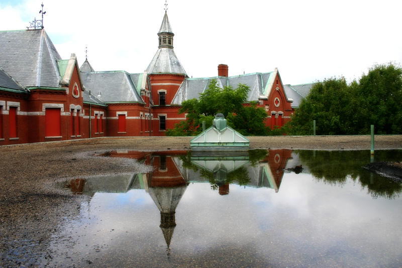 Danvers State Hospital-Puddle1