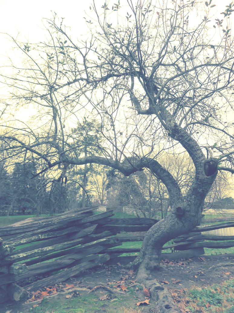 Grab Tree by PorcelaineEye22 on DeviantArt