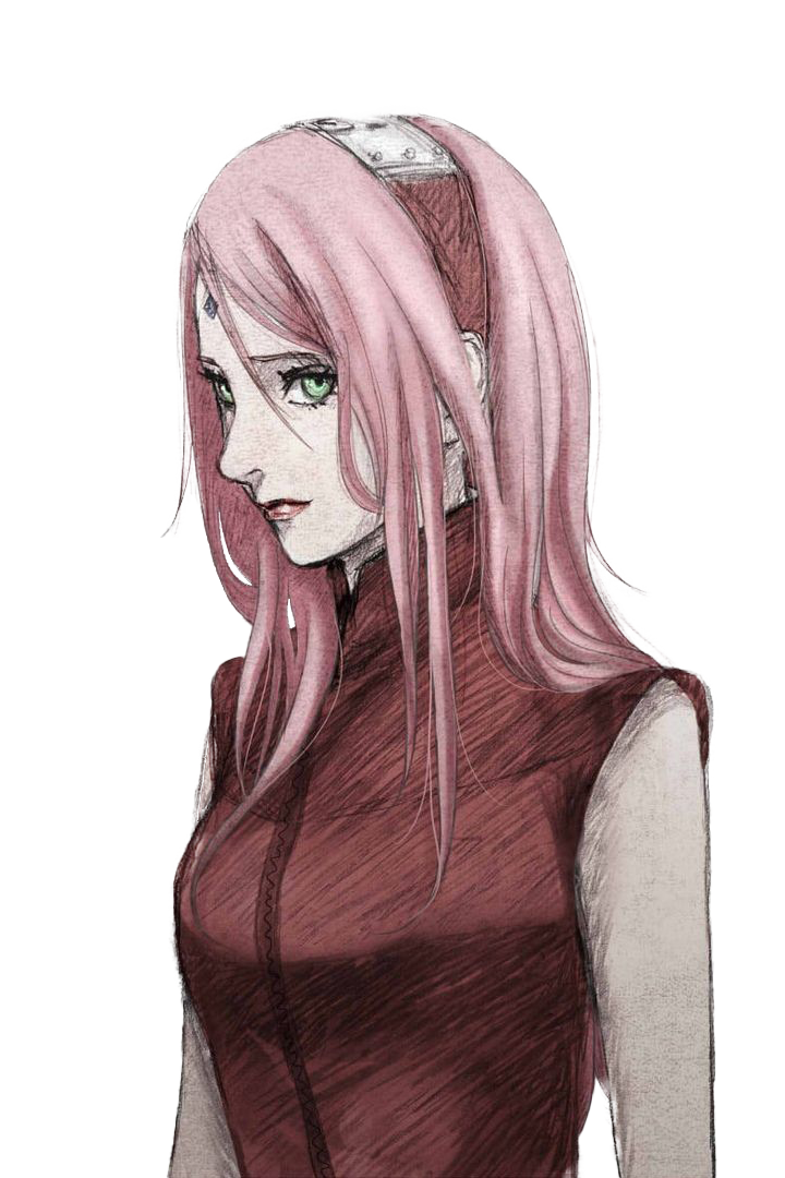 Sakura Engine Render Graph Sakura Render by je4lousy on DeviantArt