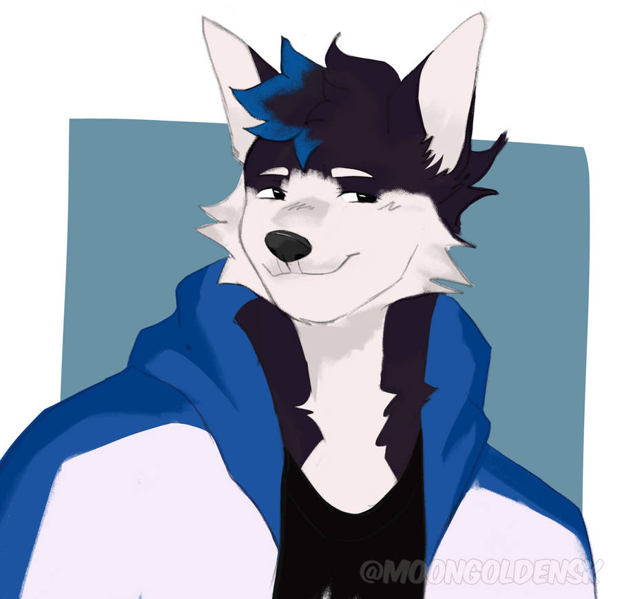 Dog by Sklly on DeviantArt