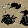 Nightmaw crows