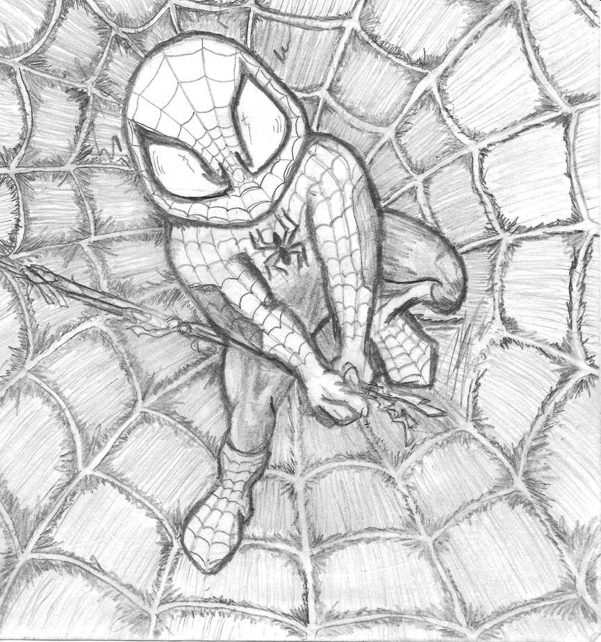Spiderman Web Drawing 1 by MrCoggsworth on DeviantArt