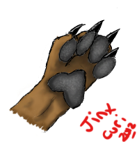 Canine Paw Study