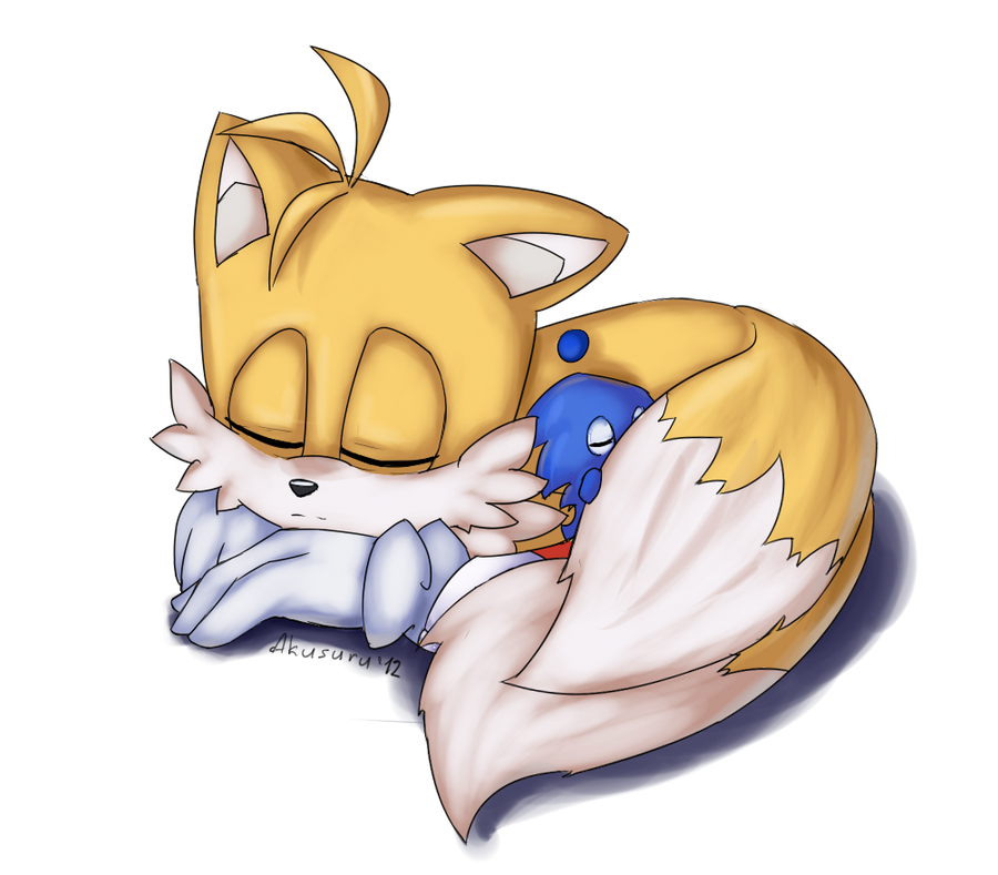 Sleeping Tails by Akusuru