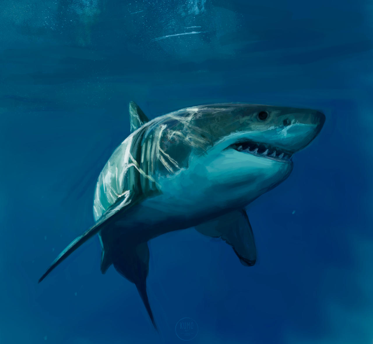 Shark Deviantart Shark 1 by IKumoArtI on DeviantArt