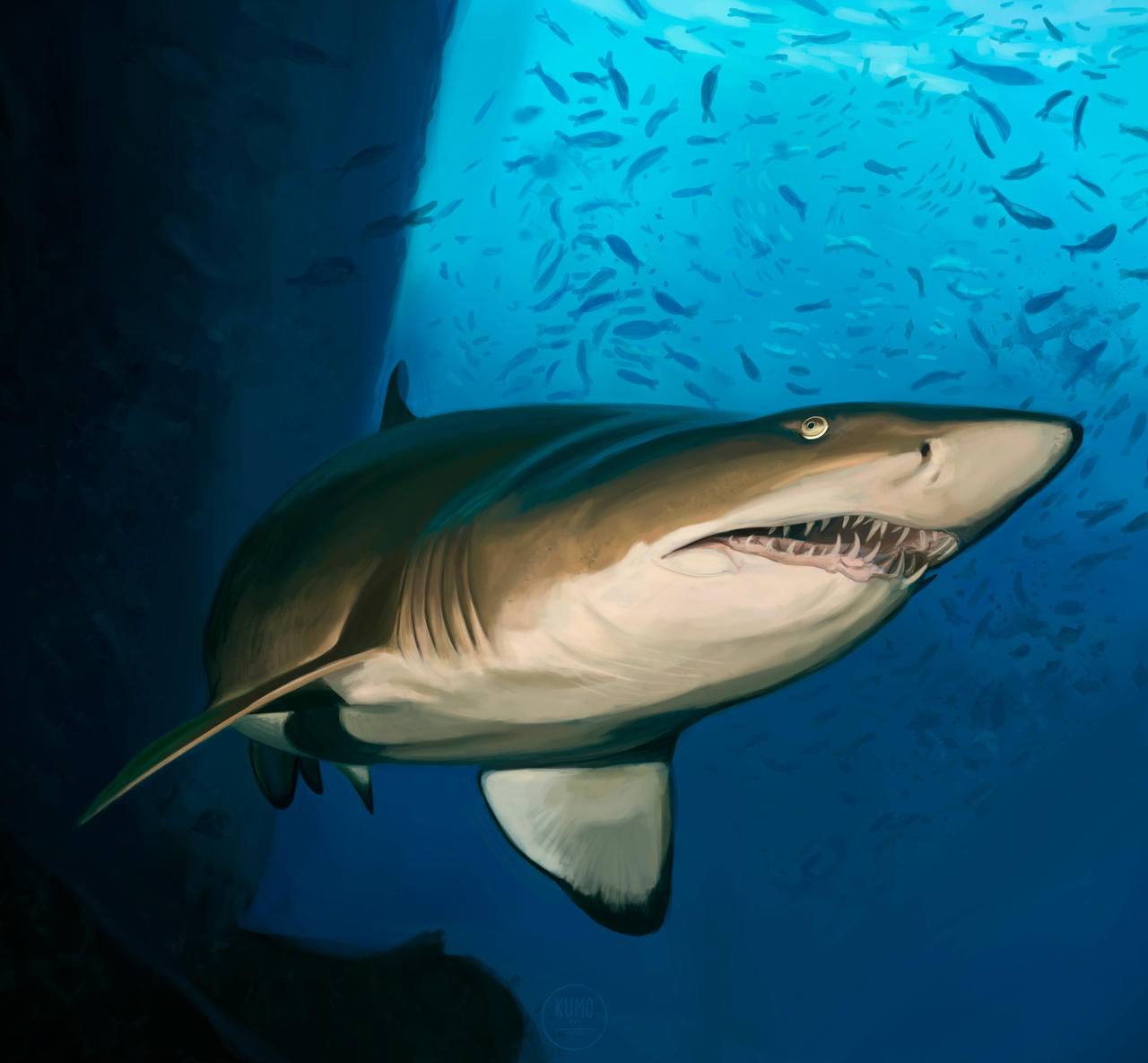 Shark Deviantart Shark 5 by IKumoArtI on DeviantArt