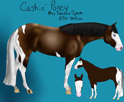 HtS Cashin' Poney