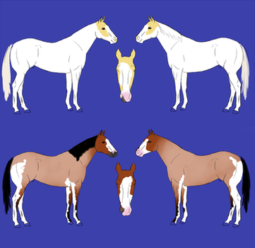 Stock Horse Point Adoptables(5pts Each!)