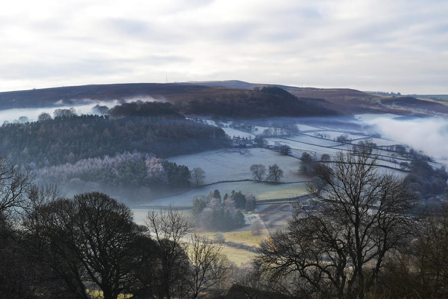 Blanket of mist