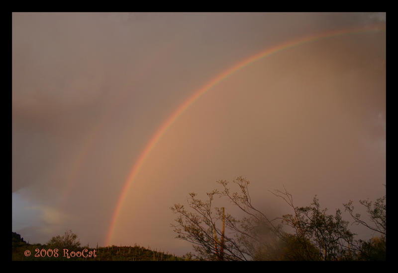 A Double Rainbow Memorial