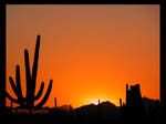 Another Spring Saguaro Sunset by RooCat