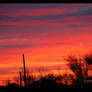 April Palo Verde Storm Sunset