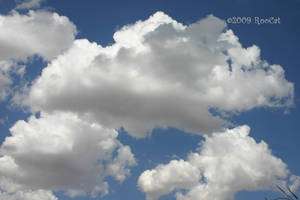 March Thunderhead Clouds