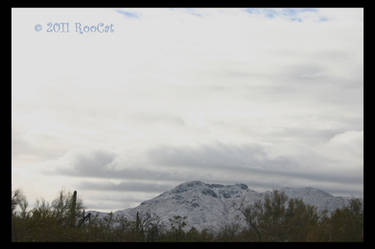 Snowy Wasson Peak Tucson Mts.