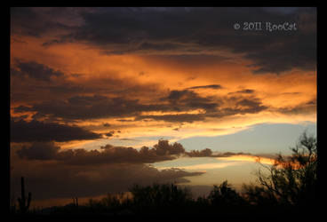 BobCat Summer Monsoon Sunset