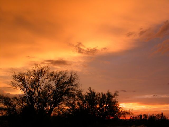 Shades of Orange Sunset Sky