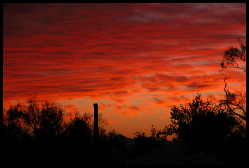 Oceanic Fire Waves In The Sky