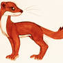 Weasel :3!