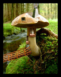 Mushroom House