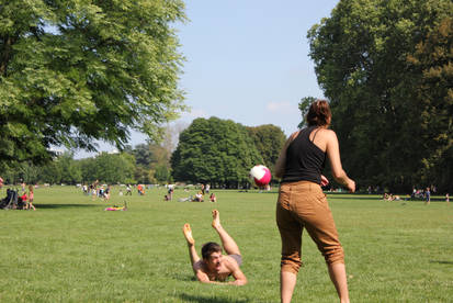 Grass Volley