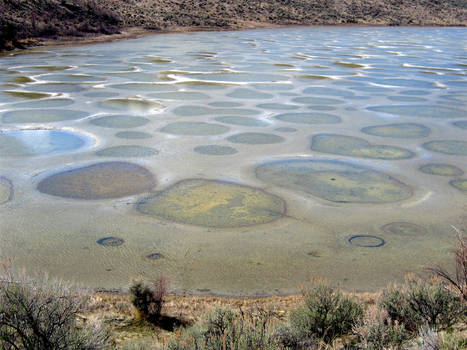 Spotted Lake