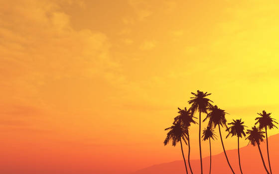 Palm Tree Wallpaper