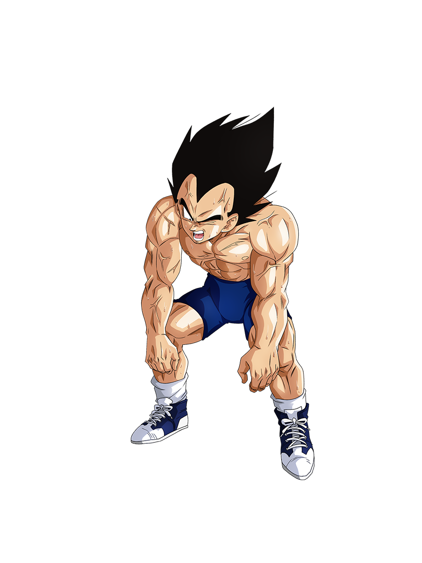 Vegeta Training Workout