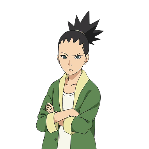 Shikadai Nara, Wiki Naruto