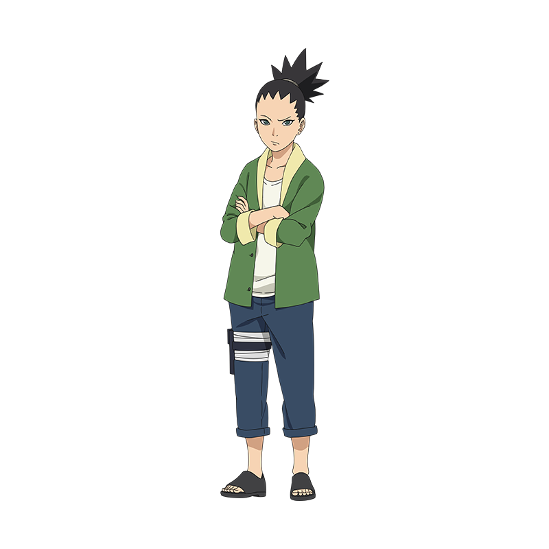 Shikadai Nara, Wiki Naruto