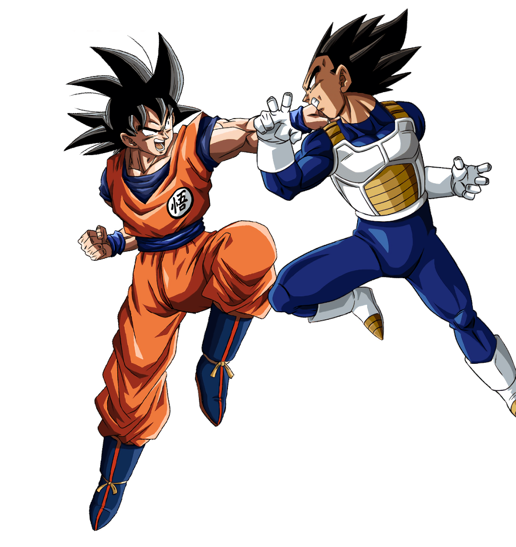 Goku vs. Vegeta, Dragon Ball Wiki