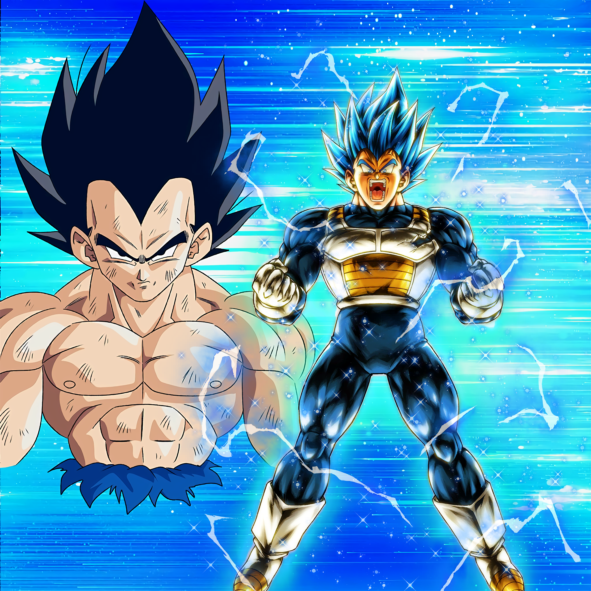 Vegeta Final Flash (Poster) by adb3388 on DeviantArt  Anime dragon ball  super, Dragon ball art, Dragon ball artwork