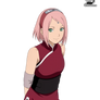 Sakura Haruno (The Last) render