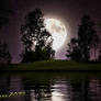 Moonlit Lake