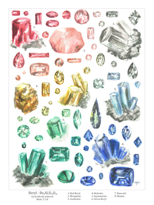 Beryl Collection Beryl collection by gardensprouts on DeviantArt